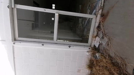 Marga9012: オフィスにいる。