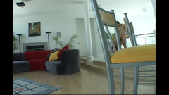 Lexinghton - Full HD: Bobbi, Fraierul Pofticios