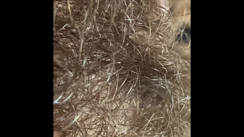 Cuteblonde666: Extreme close up on my hairy pussy and huge clitoris