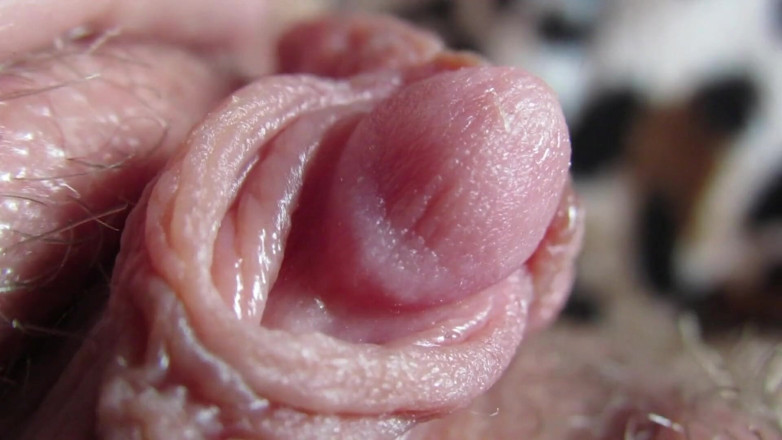 Cuteblonde666: Extremo close-up na minha cabeça com clitóris duro