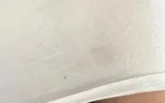 Rich Ass. Bunny girly