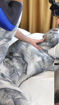 Nora Fox Wolf Zentai Mesin Encasement