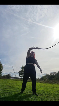 Some Bullwhip Practice in the Park