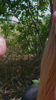 Megan gefesselt, angepisst und im wald links