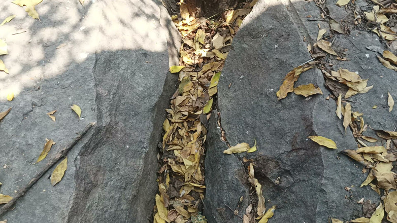 Suthavillagexxx: Tamil Boy Masturbating in the Forest