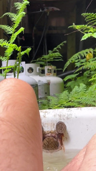 Bobbing for Bush