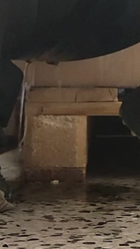 Špinavá děvka čůrá v obchodě eingepiss