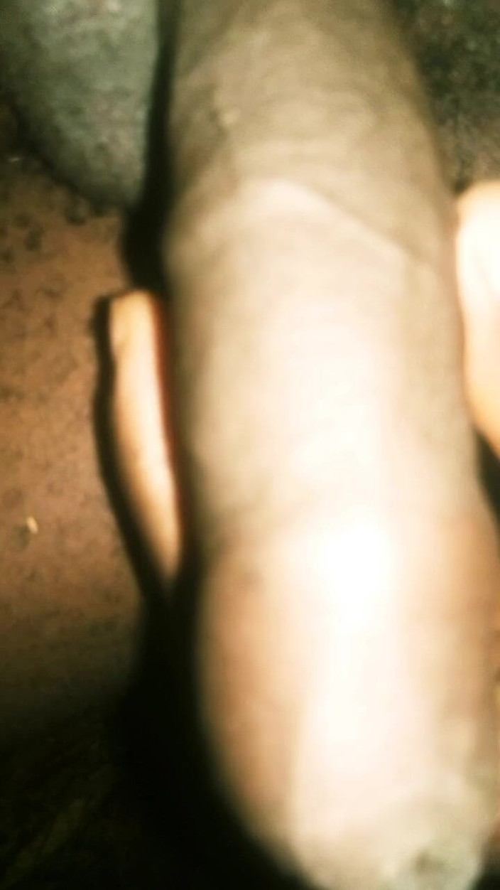 Judith xxx: Masserar avsnitt 12