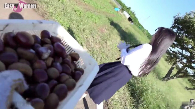 Cheaters Japan: Asian Angel 25508