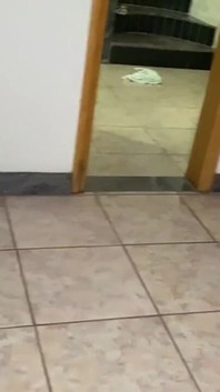 Tânără albă toată excitată
