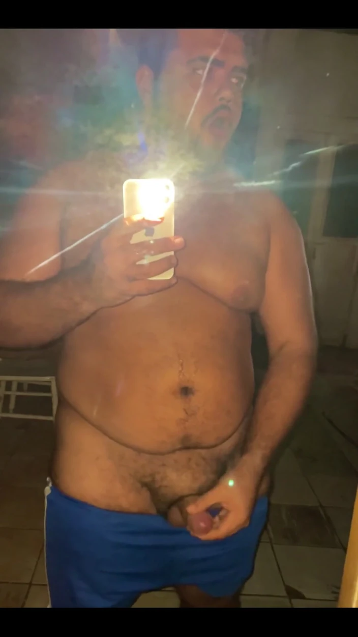 VEN1CIU: Studio dell'orso paffuto