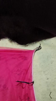 Indiano garoto fodendo sexy quente bhabi em seu quarto