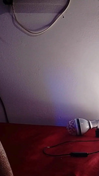 Je plaisante, en mettant la vilaine fille à sucer et en laissant le sexe rouler sur la fourrure.