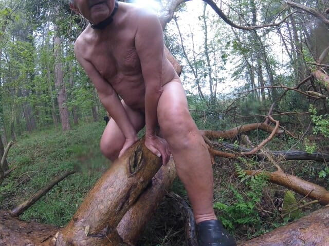 Andy: Cose che trovi 2