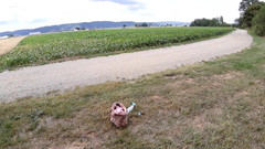 sweetfeet29: Sommarsession Del 1