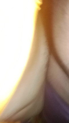 Shravan: Dorf-video-dorf