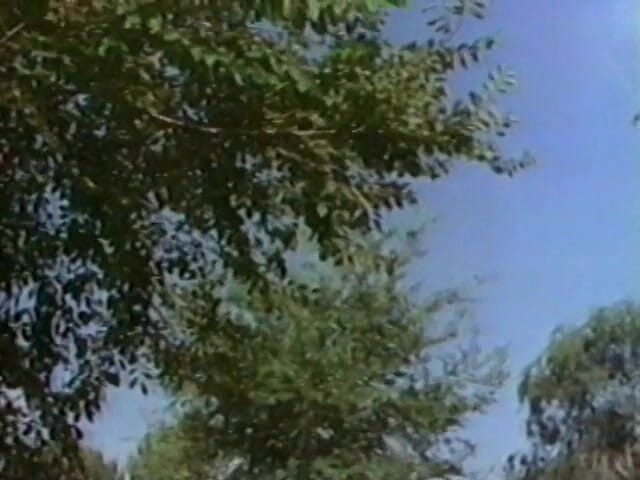 Tribal Male Retro 1970s Gay Films: Hardhat part 3