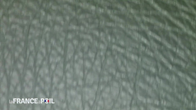 Girls Bang: Caliente rubia nena en lencería juega con consolador