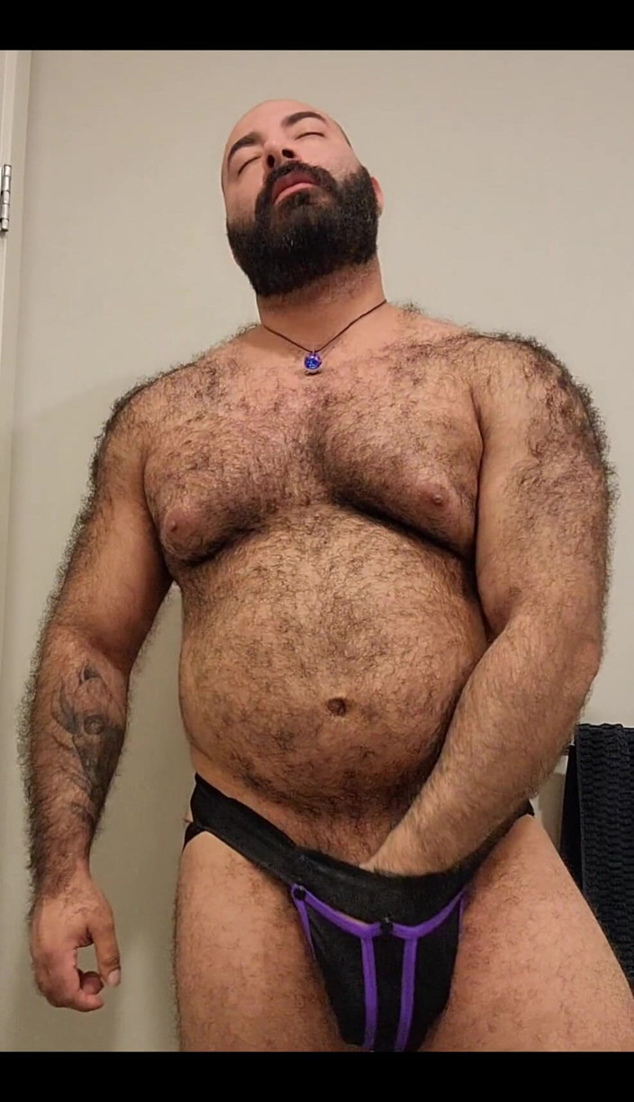 Lobo: Bear Is Here