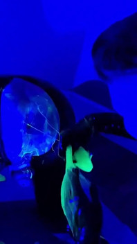 UV Fisting