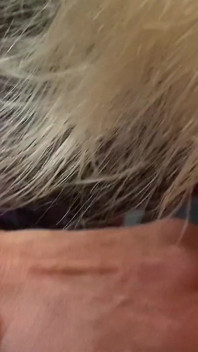 Homemade blowjob on the sofa at home