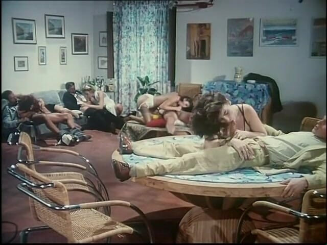 Double Penetration Party: Intimité anale avec des chattes poilues sexy - DVD