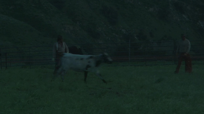 Worldwide Sex Movies: Moonlight western sex - la mora cavalca il suo cowboy fino...