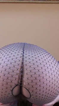 Camshow Diversão
