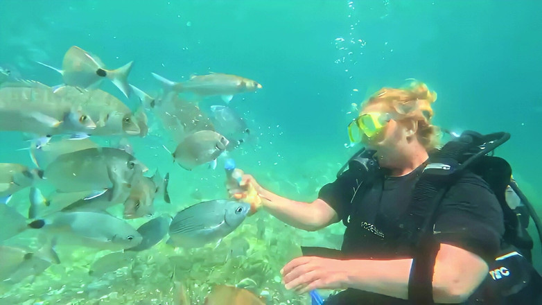 JessieHH: Potápění v Turkiye! Bezplatně