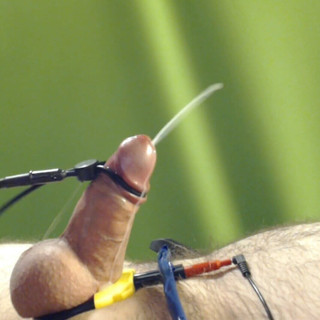 Bestmaleorgasm: Çeşitli estim boşalmalar