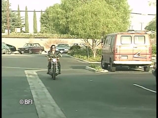 Battle of the asses and pussies: スターバンガーズ4 - DVDリー