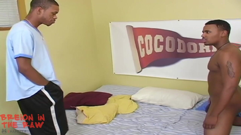 Flava Works Entertainment: Breion in the Raw - Cena 7