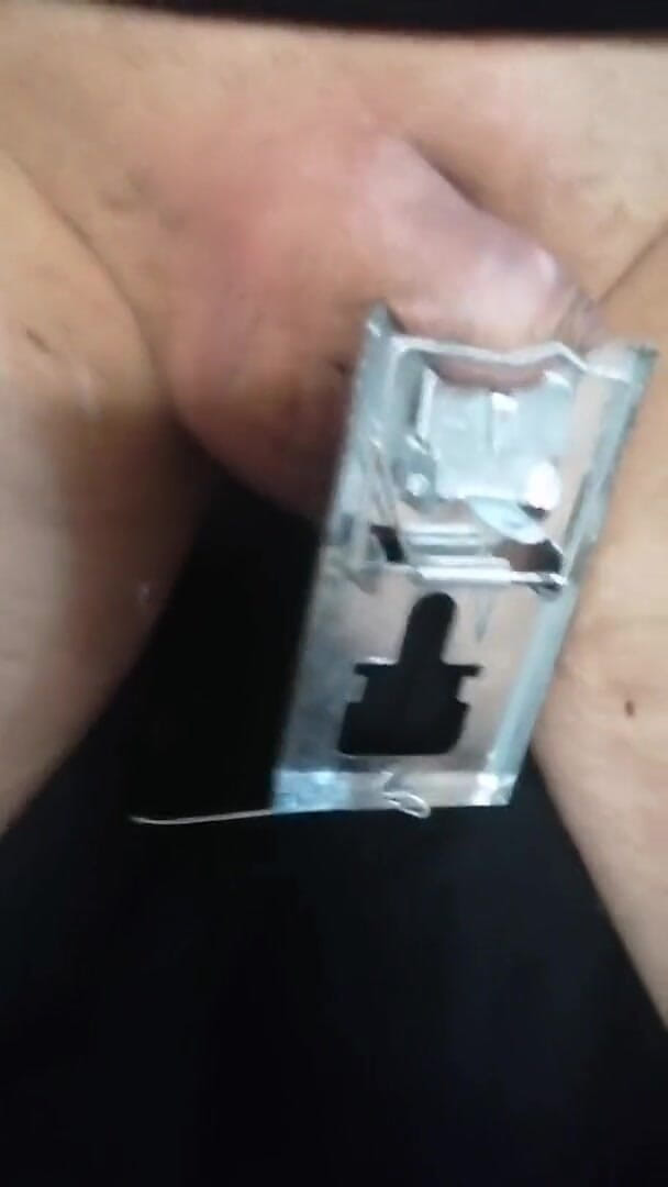 Adashah: Micropenis and a mousetrap. Hurt and it changed color