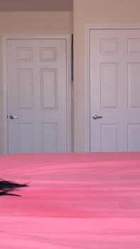Perfect Latina Rides Big Cock & Cums Repeatedly