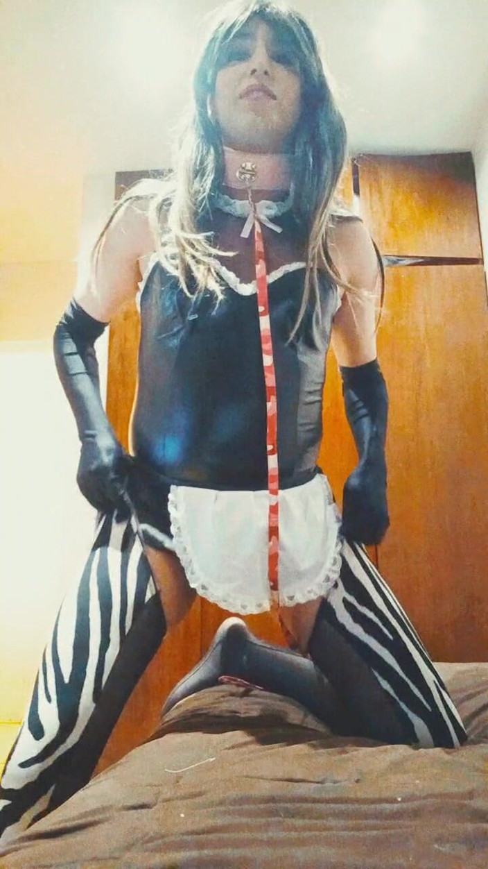 Tammy sissy slave: Tammysissy prima e dopo aver succhiato il cazzo
