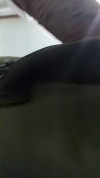 Close up Dick