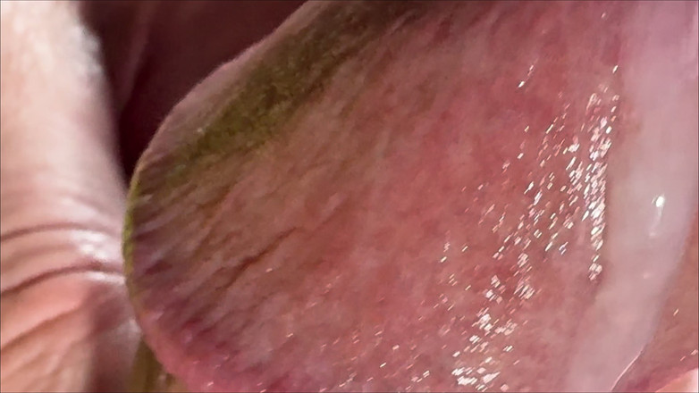 Leonardo-1974: Abspritzen mit viel weißer sahne