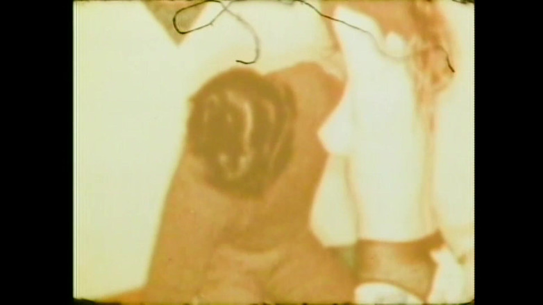 Vintage Megastore Full hd: Candida Royalle 猪吸盘鸡