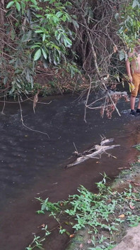 Des inconnus se font surprendre en train de baiser à la cascade.
