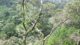 Vacanță virtuală Hawaii cu Sophia Leone 4/6