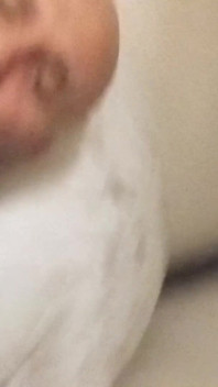 Porno