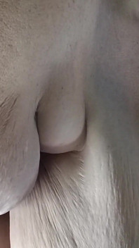 Lnasty Iching för en gushing pissar