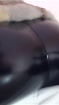 Cam show lông thú