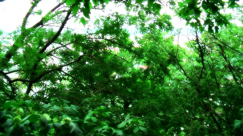 German Full Movies: Gwiazdy porno prywatnie - cały film