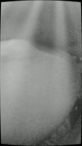 BBW-Cleopatra: मुझे उसकी गांड पर वीर्य चाहिए था