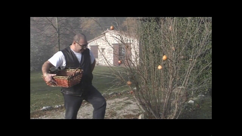 XTime Vod: Przygody Monelli