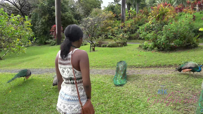 ATK Fans (Girlfriends): Virtual vacation in Hawaii with Yara Skye 7/11