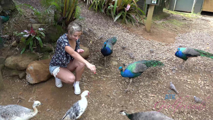 ATK Fans (Girlfriends): Liburan virtual di hawaii bareng makenna blue bagian 7