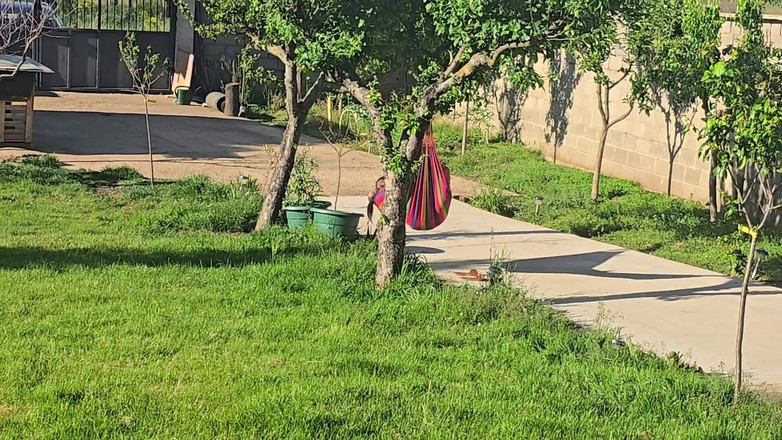 Labestiaylabella: Stepfather Fucks His Stepdaughter Outdoors While His Wife Is Not...