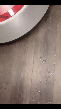 Got Way Too Horny at the Gym